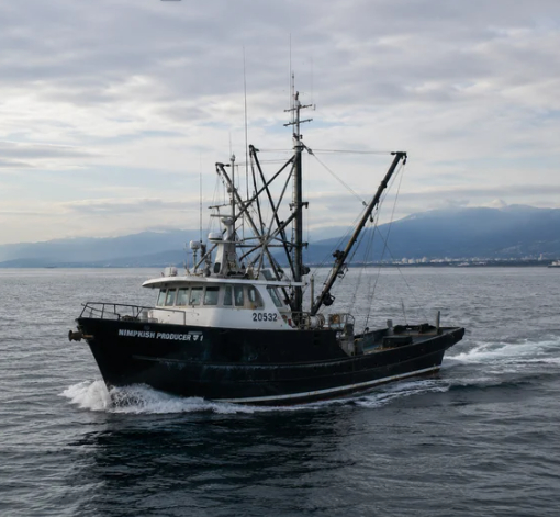 yacht c + ignition marine home