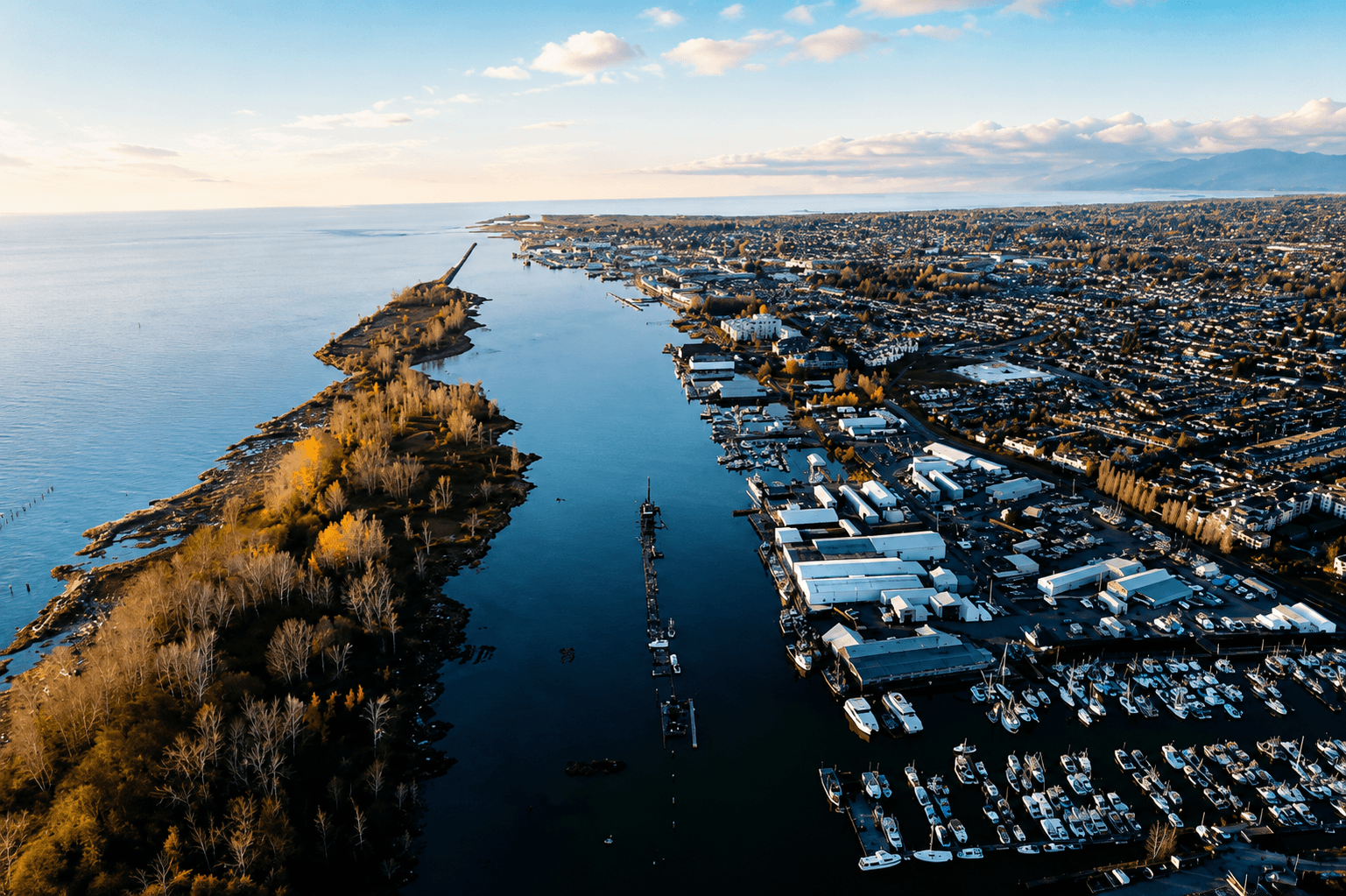 igm 1 + yacht services in richmond