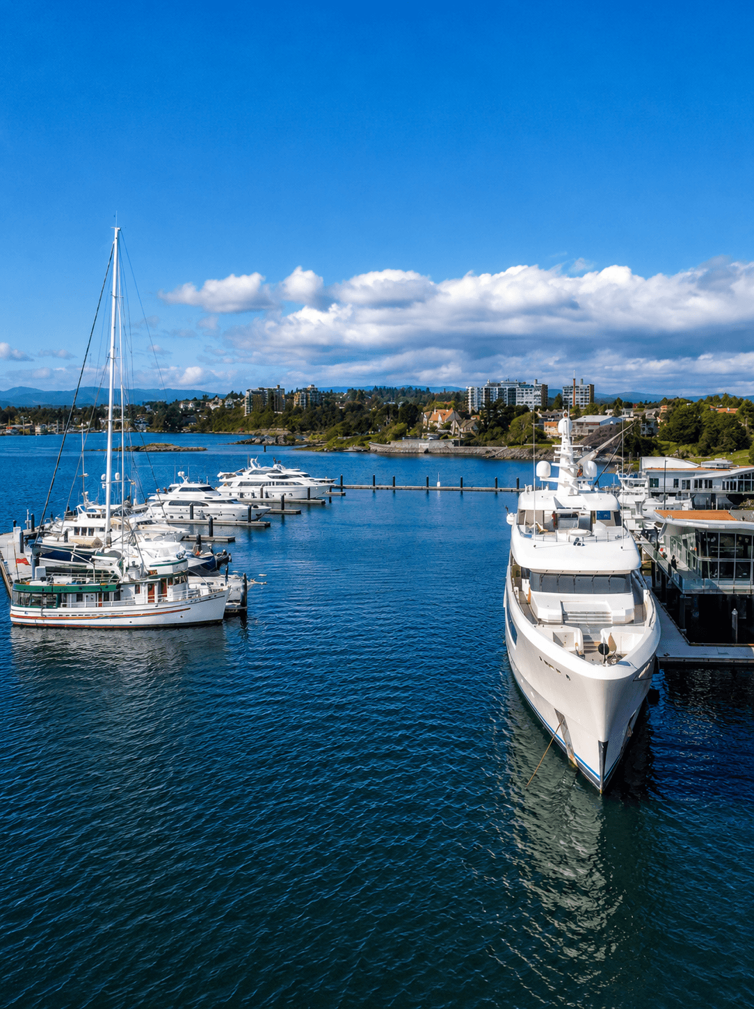 victoria international marina 1 + richmond office | ignition marine