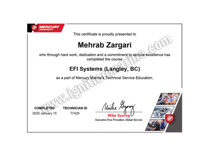 efi-systems-langely_page-0001